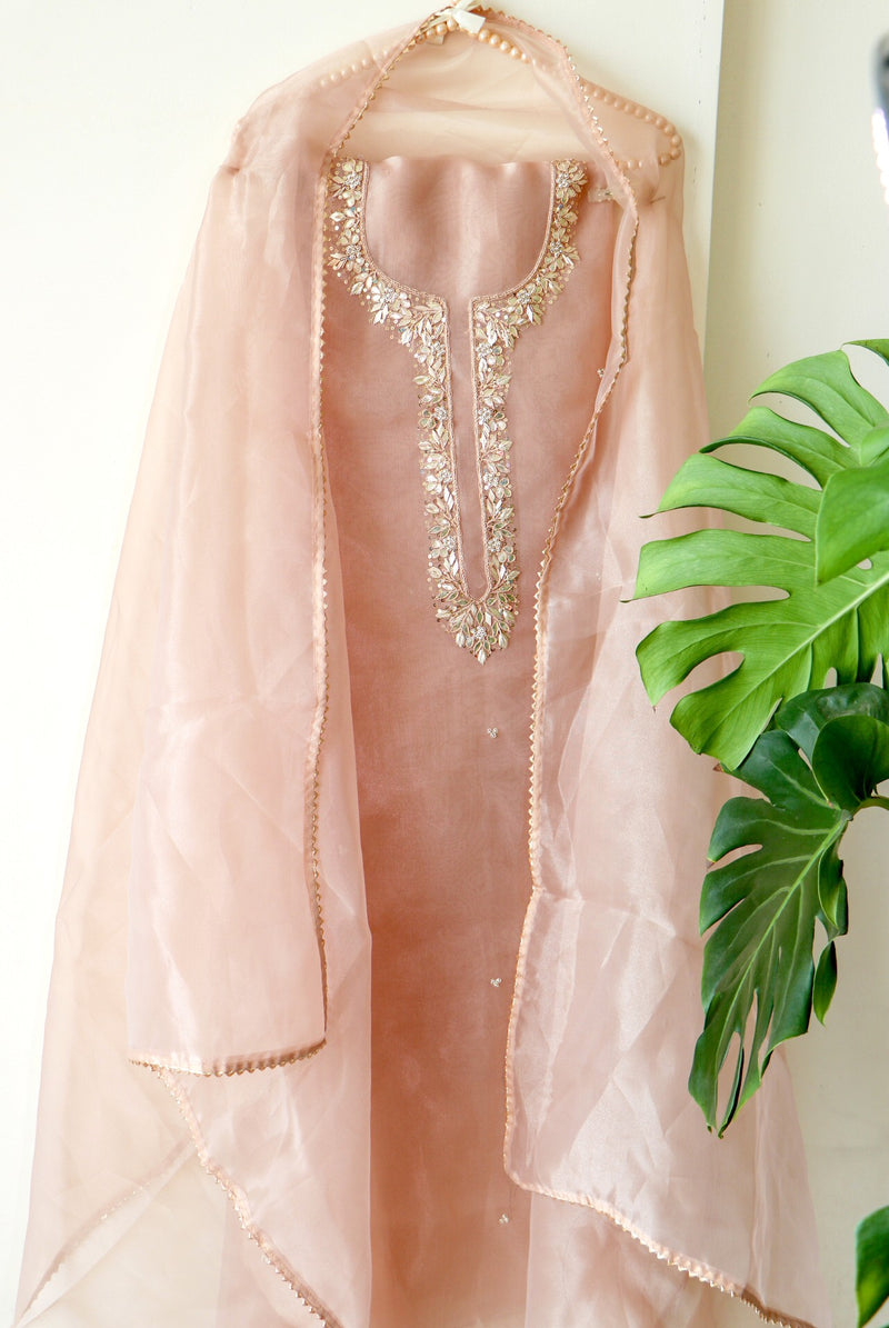 BEIGE ORGANZA SUIT SET