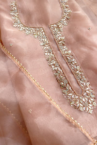 BEIGE ORGANZA SUIT SET
