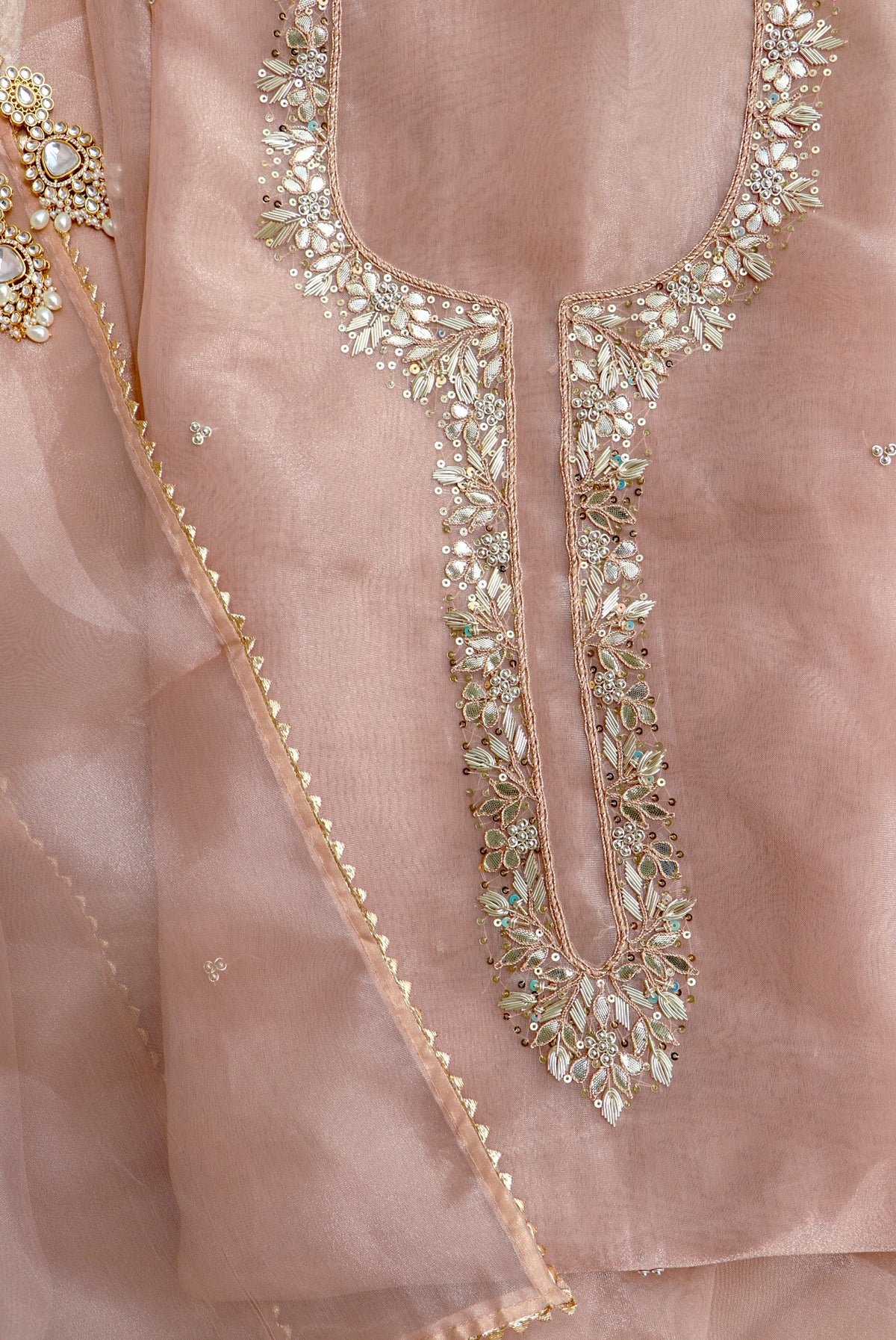 BEIGE ORGANZA SUIT SET