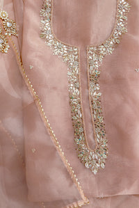 BEIGE ORGANZA SUIT SET